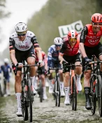 Paříž-Roubaix má problém. Fanoušci kradou dlažební kostky, organizátoři se bojí o Pogačara