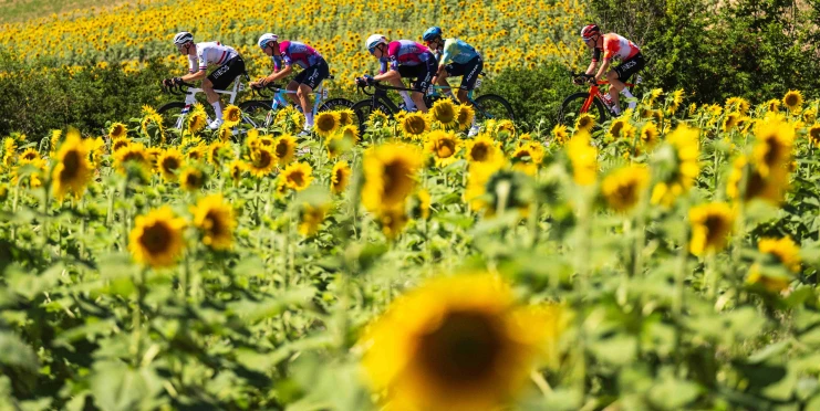 Porce energie pro zdolání Tour de France: Youtuberka potřebovala denně 13 Big Maců