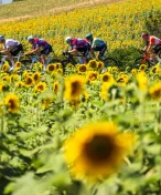 Porce energie pro zdolání Tour de France: Youtuberka potřebovala denně 13 Big Maců