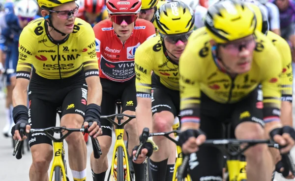 Visma ztrácí finanční sílu. Vinu nese i snaha udržet Vingegaarda, naznačuje Riis