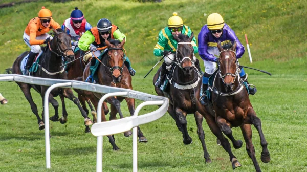 170 let pardubických dostihů: sezóna 2026 nabídne vyšší výhry