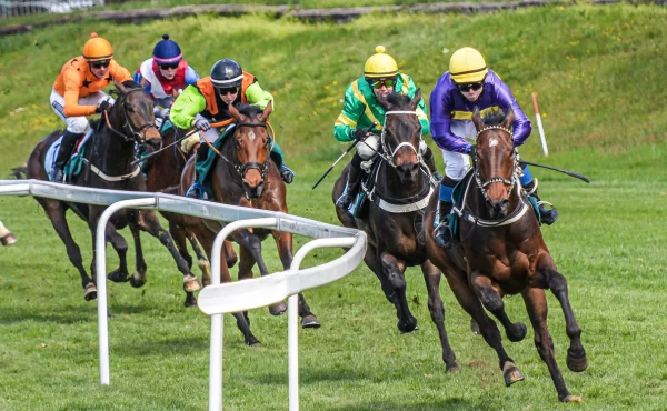 170 let pardubických dostihů: sezóna 2026 nabídne vyšší výhry