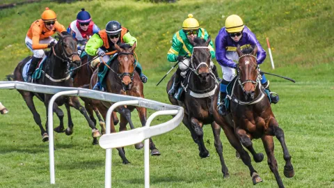 170 let pardubických dostihů: sezóna 2026 nabídne vyšší výhry