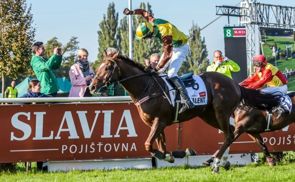Účastníky 135. Velké pardubické představí divákům bývalý šampion Talent