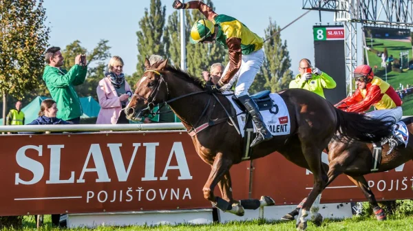 Účastníky 135. Velké pardubické představí divákům bývalý šampion Talent