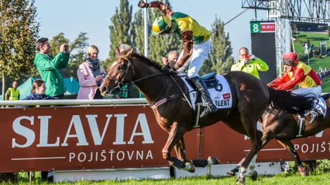 Účastníky 135. Velké pardubické představí divákům bývalý šampion Talent