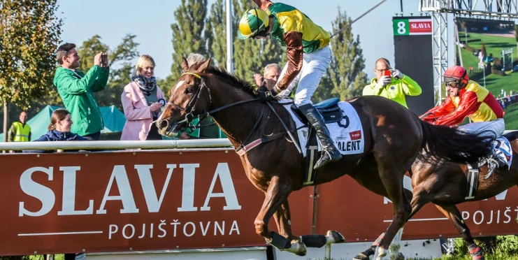 Účastníky 135. Velké pardubické představí divákům bývalý šampion Talent