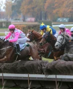 Hattrick Matuského, divoké proutky pro tříleté a nevídaný závěr Impase