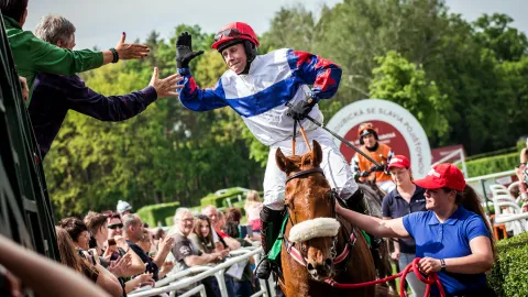 Rekonvalescent Chelmsford vyzve dva vítěze Velké pardubické