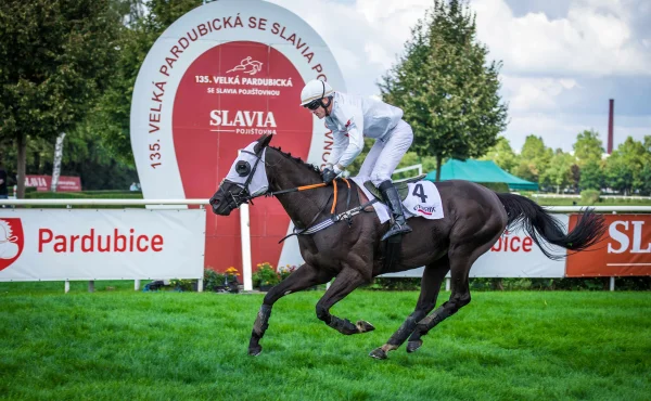 Do první kvalifikace míří druhý z loňské Velké pardubické High In The Sky