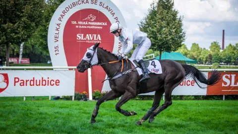 Do první kvalifikace míří druhý z loňské Velké pardubické High In The Sky