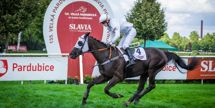 Do první kvalifikace míří druhý z loňské Velké pardubické High In The Sky