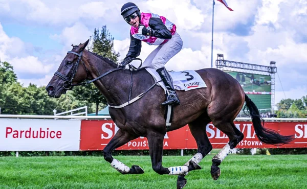 Pardubickou premiéru ozdobí druhý z Ceny Labe Hola Que Tal