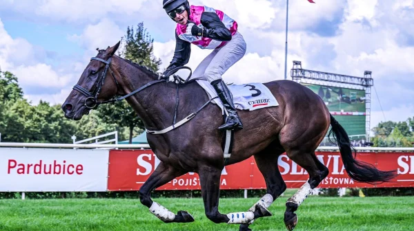 Pardubickou premiéru ozdobí druhý z Ceny Labe Hola Que Tal