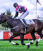 Pardubickou premiéru ozdobí druhý z Ceny Labe Hola Que Tal