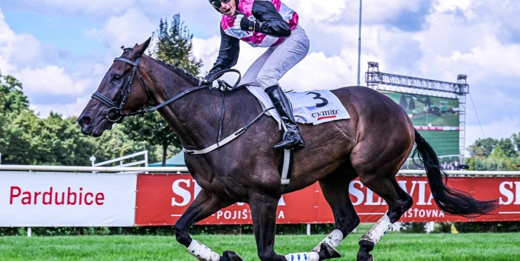 Pardubickou premiéru ozdobí druhý z Ceny Labe Hola Que Tal