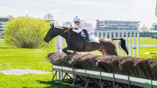 V hlavním pardubickém dostihu se zaleskla Platina, zaujali nováčci
