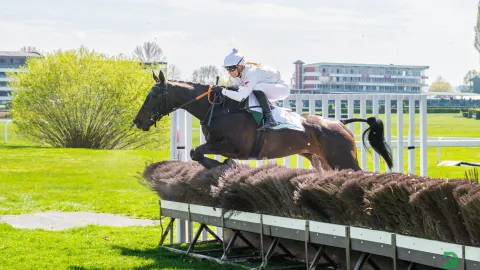 V hlavním pardubickém dostihu se zaleskla Platina, zaujali nováčci