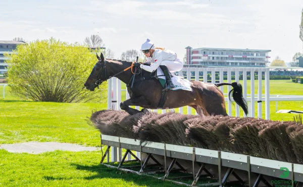 V hlavním pardubickém dostihu se zaleskla Platina, zaujali nováčci