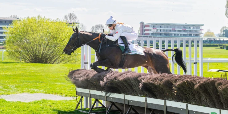 V hlavním pardubickém dostihu se zaleskla Platina, zaujali nováčci