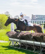 V hlavním pardubickém dostihu se zaleskla Platina, zaujali nováčci