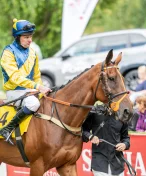 Účastník Scottish Grand National Klarc Kent se pokusí prolomit smůlu v Pardubicích