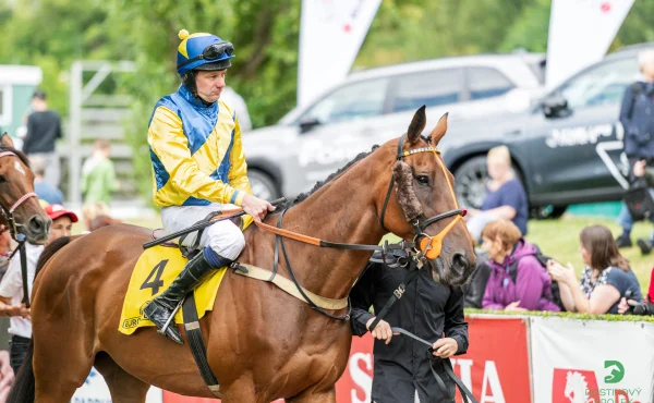 Účastník Scottish Grand National Klarc Kent se pokusí prolomit smůlu v Pardubicích