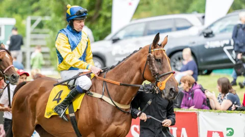 Účastník Scottish Grand National Klarc Kent se pokusí prolomit smůlu v Pardubicích