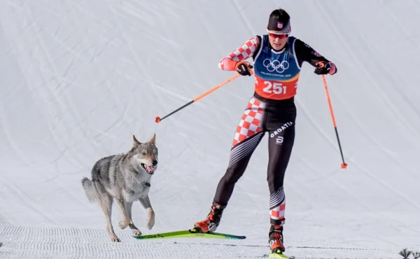 Halucinace? Ne! Mezi běžkařky se přimotal československý vlčák, má i cílovou fotku