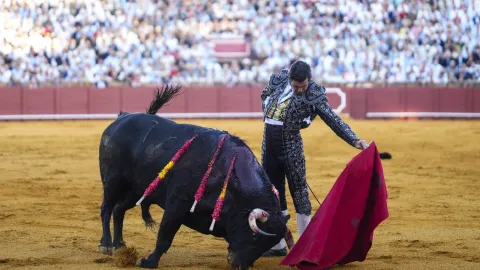 Návrat legendy skončil šokem. Slavného matadora propíchnul býčí roh