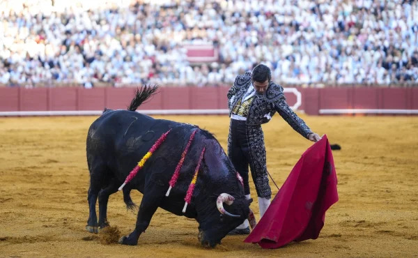 Návrat legendy skončil šokem. Slavného matadora propíchnul býčí roh