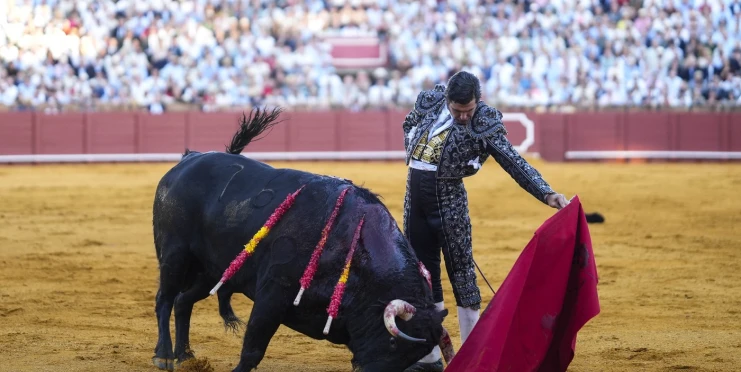 Návrat legendy skončil šokem. Slavného matadora propíchnul býčí roh