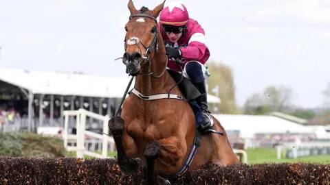 Vyhrál, pak ho utratili. Kůň zemřel jen minuty po vítězství na Grand National Festivalu