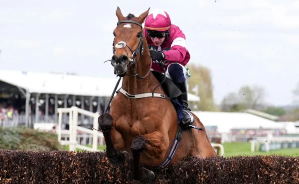 Vyhrál, pak ho utratili. Kůň zemřel jen minuty po vítězství na Grand National Festivalu