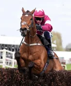 Vyhrál, pak ho utratili. Kůň zemřel jen minuty po vítězství na Grand National Festivalu