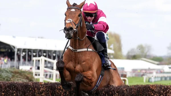 Vyhrál, pak ho utratili. Kůň zemřel jen minuty po vítězství na Grand National Festivalu