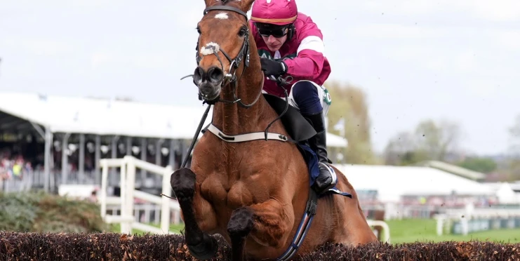 Vyhrál, pak ho utratili. Kůň zemřel jen minuty po vítězství na Grand National Festivalu