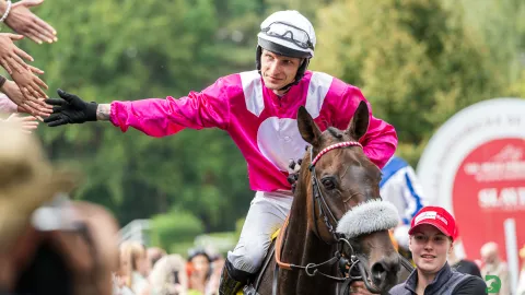 Poslední vstupenky do Velké pardubické získali dva koně trenéra Lišky