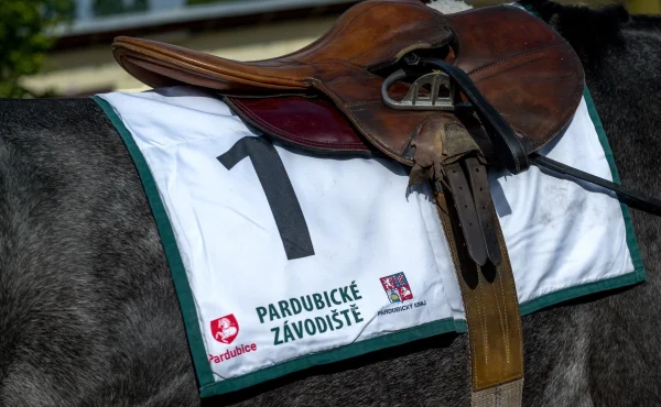 Dostihový mítink ve velkém stylu: Hodnotit se budou klobouky a dojde na hobby horsing