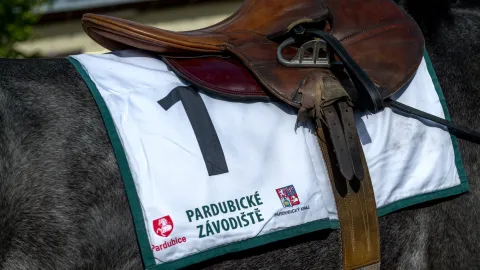 Dostihový mítink ve velkém stylu: Hodnotit se budou klobouky a dojde na hobby horsing