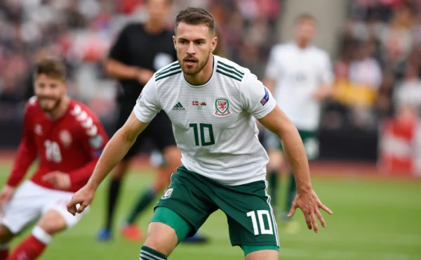 Ztratil smlouvu kvůli svému ztracenému psovi. Ramsey dostal deprese a přestal trénovat