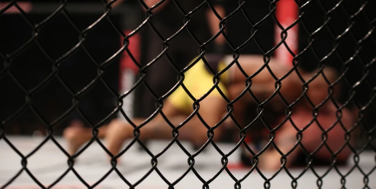 Rusové mluví znovu o nacistech. Kvůli hymně SSSR, která zazněla omylem na turnaji MMA