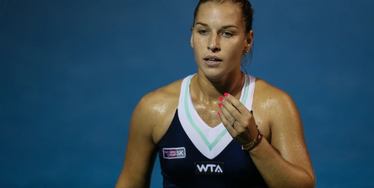 Stojí ti ty peníze za to? Cibulková to schytala za reklamu na vodku