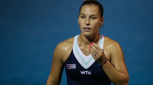 Stojí ti ty peníze za to? Cibulková to schytala za reklamu na vodku