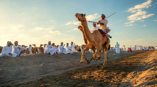 Pogba je pod palbou kritiky. Ochranáři chtějí, aby opustil závody velbloudů