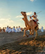 Pogba je pod palbou kritiky. Ochranáři chtějí, aby opustil závody velbloudů