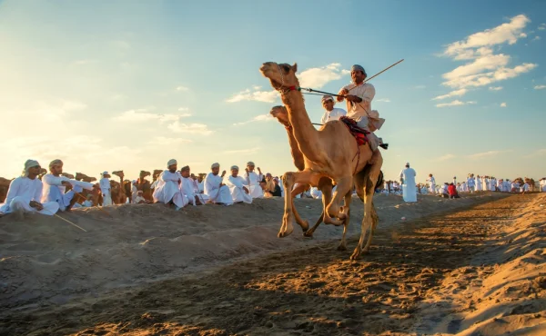 Pogba je pod palbou kritiky. Ochranáři chtějí, aby opustil závody velbloudů
