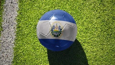 Milionová pokuta za rasismus. Na stadionu skandovaly urážky desítky tisíc lidí
