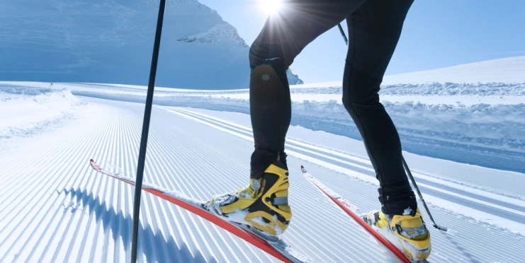 Bizarní karambol na trati: Jak ruský lyžařský šampionát rozhodl pes vyslaný Trumpem a NATO