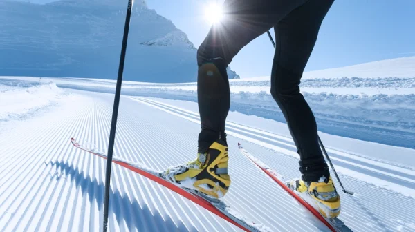 Bizarní karambol na trati: Jak ruský lyžařský šampionát rozhodl pes vyslaný Trumpem a NATO